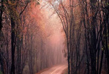 开云体育：久保建英：全队上下都想尽早锁定世界杯资格 目标不止参加世界杯.