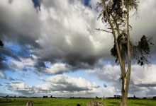 杰伦-布朗本赛季出战59场 距65场评选标准还差6场&常规赛只剩7场！今天凯尔特人客战灰熊 杰伦-布朗&科内特缺阵.